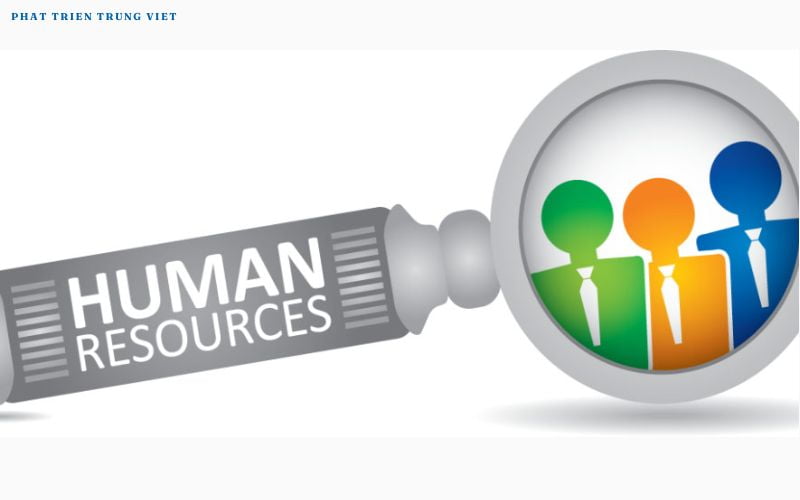 Thẩm định nhân lực (Human Resources Due Diligence)